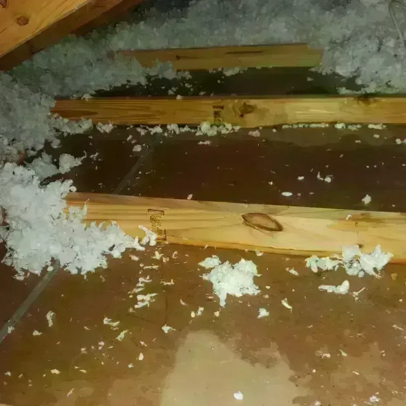 Attic Water Damage in Shawano, WI