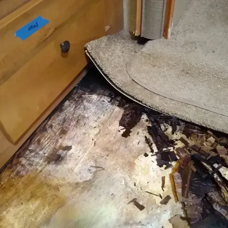 Best Wood Floor Water Damage Service in Shawano, WI